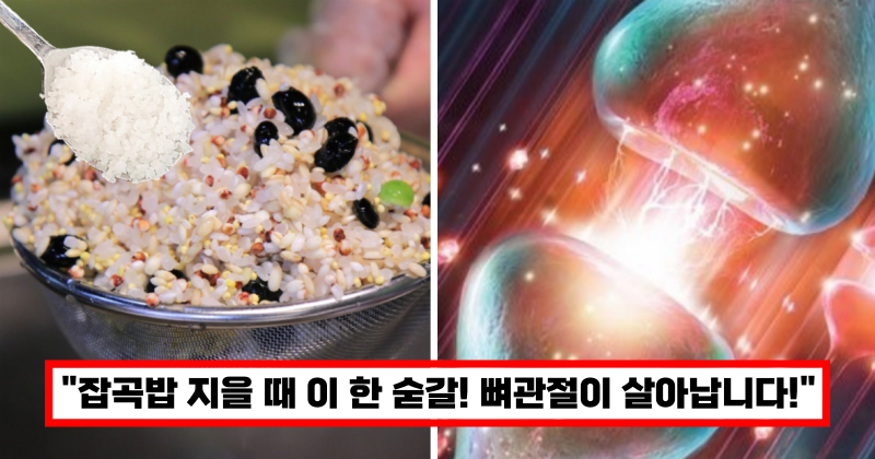 잡곡밥과-소금의-시너지효과