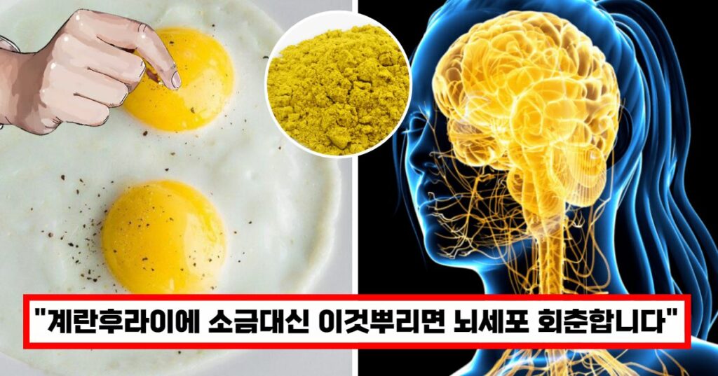 뇌세포 회춘시키는 계란섭취방법