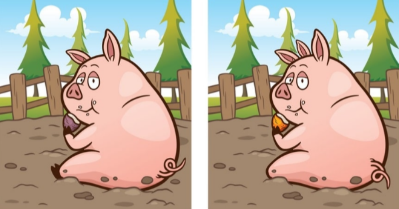 eating pig in difference